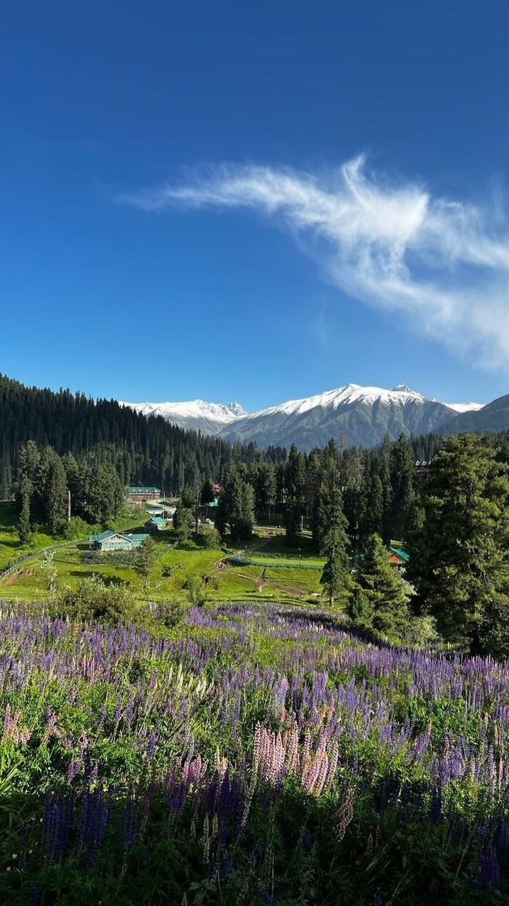 Kashmir tour packages